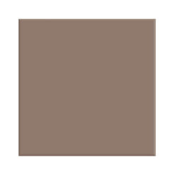 Johnson Tiles PRG8 Cappuccino 100 x 100 (100 Pcs)